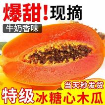 超甜】云南红心木瓜新鲜水果批发价下奶冰糖心木瓜牛奶正宗大