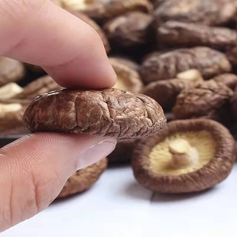 香菇干货500g古田农家肉厚无根干香菇，内含干燥剂看清