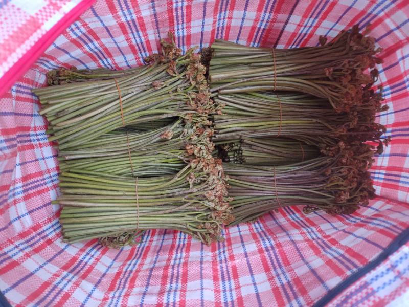 大量提供纯绿色食品