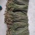大量提供纯绿色食品