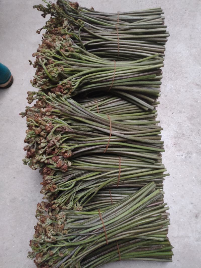 大量提供纯绿色食品