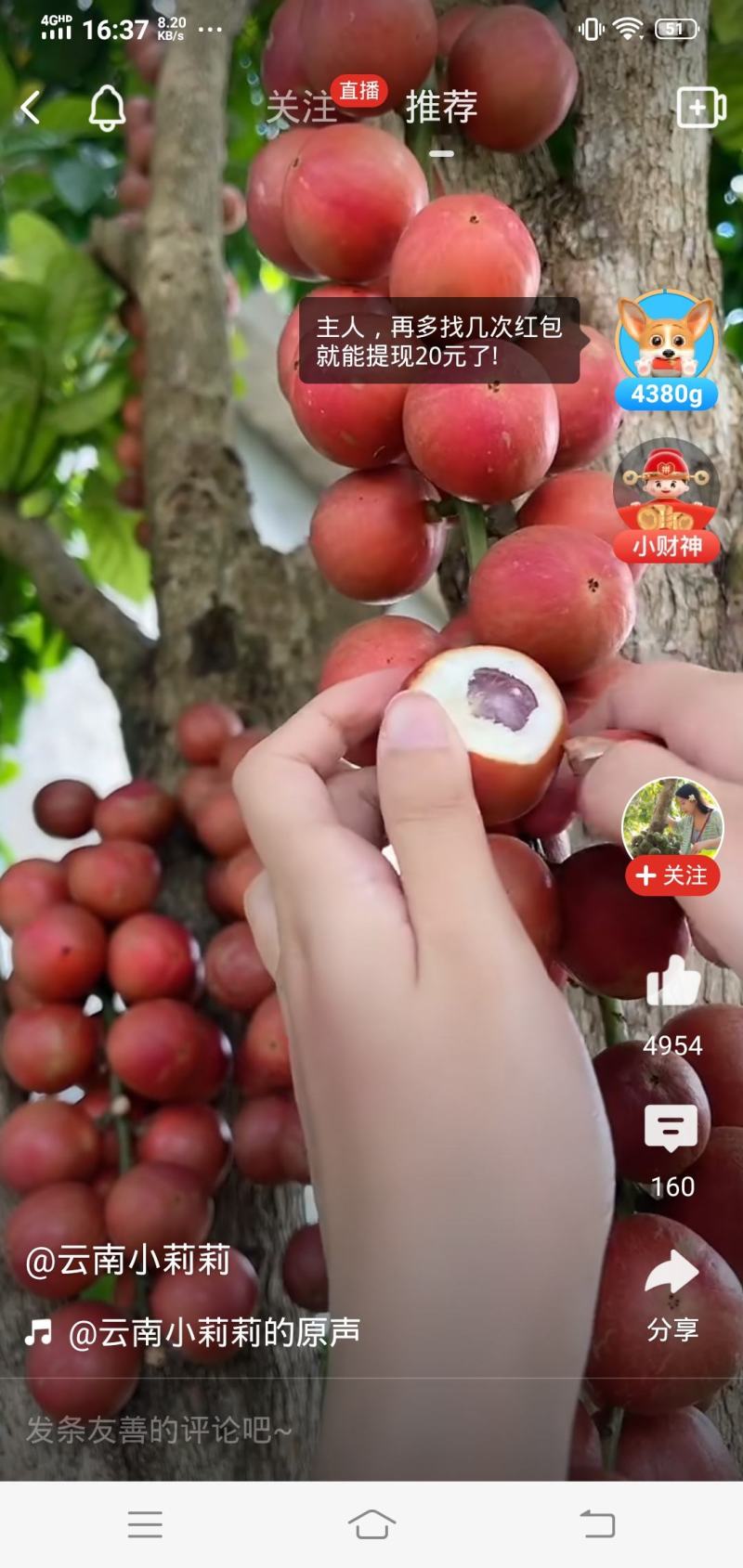 棉籽饼装完车了。