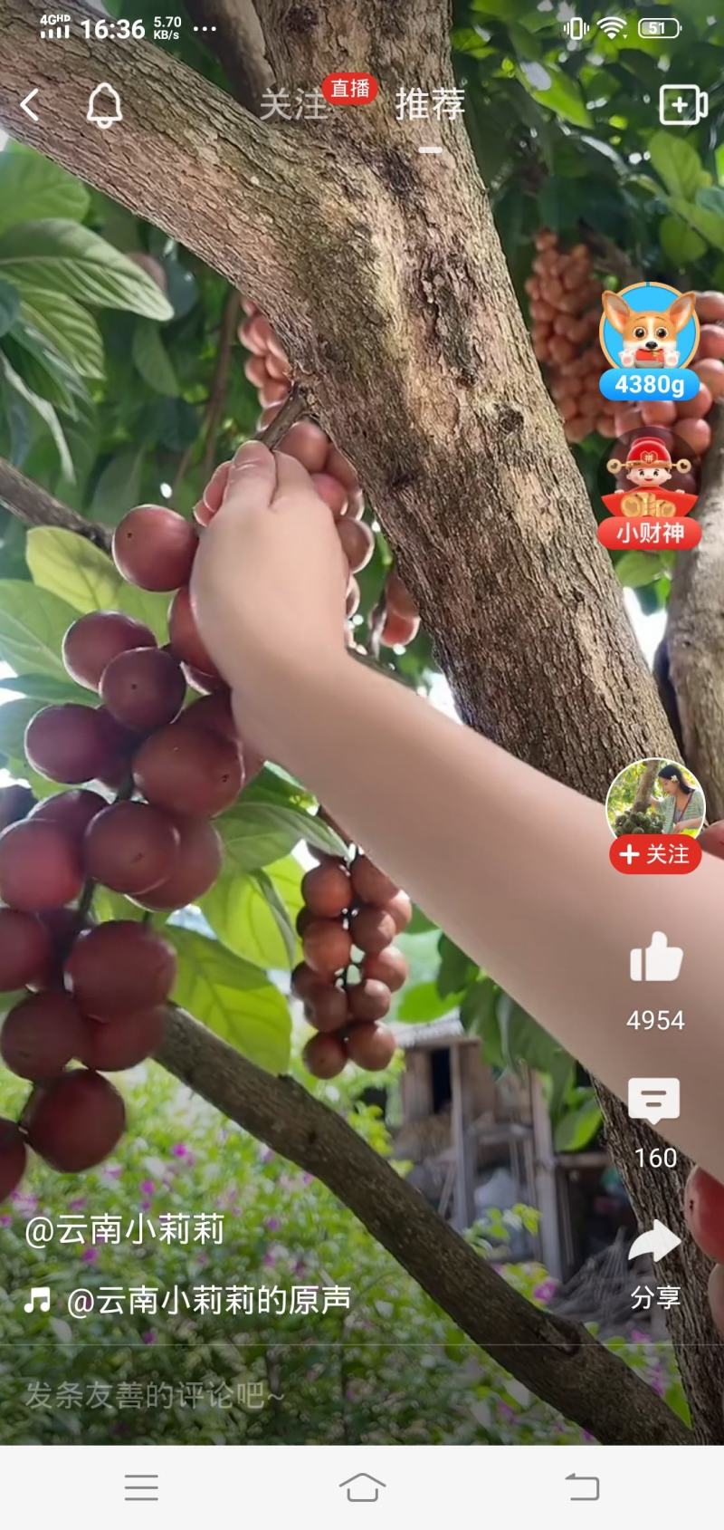 棉籽饼装完车了。
