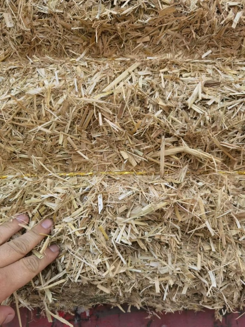 常年出售玉米秸秆，稻草秸秆，小麦秸秆欢迎选购！