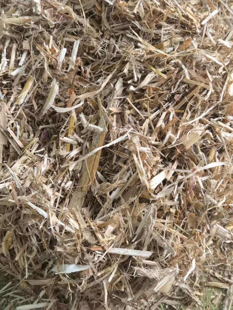 常年出售玉米秸秆，稻草秸秆，小麦秸秆欢迎选购！