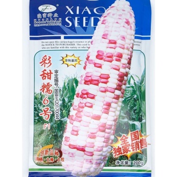 晓富彩甜糯6号玉米种子绿皮大棒非转基因200克原装发货