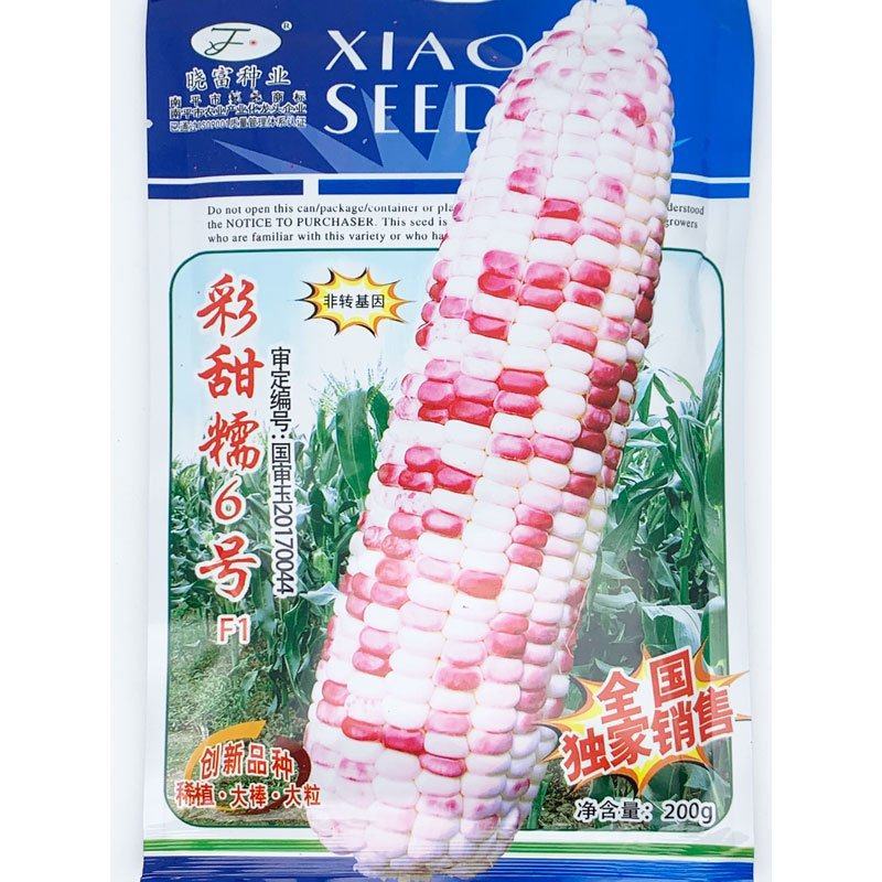 晓富彩甜糯6号玉米种子绿皮大棒非转基因200克原装发货