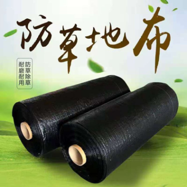 防草布除草布园艺地布果园专用布盖草布黑色地膜防晒厂家供应