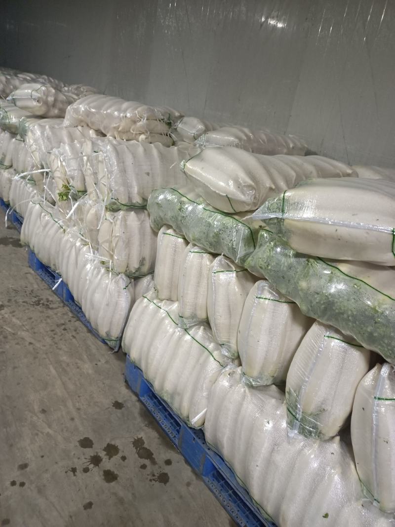 精品白箩卜象牙白，301白箩卜，供应超市，