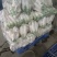 精品白箩卜象牙白，301白箩卜，供应超市，