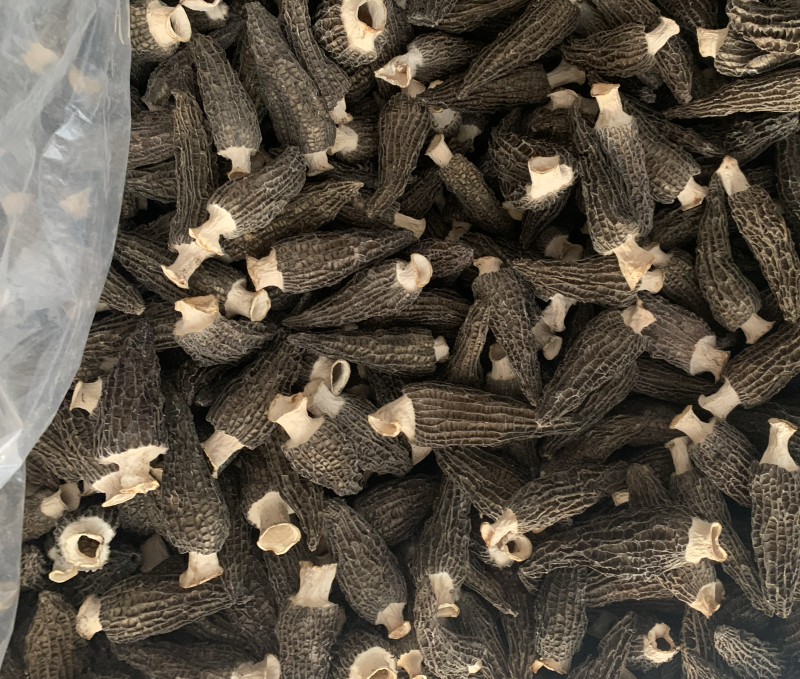 羊肚菌干货各种品质