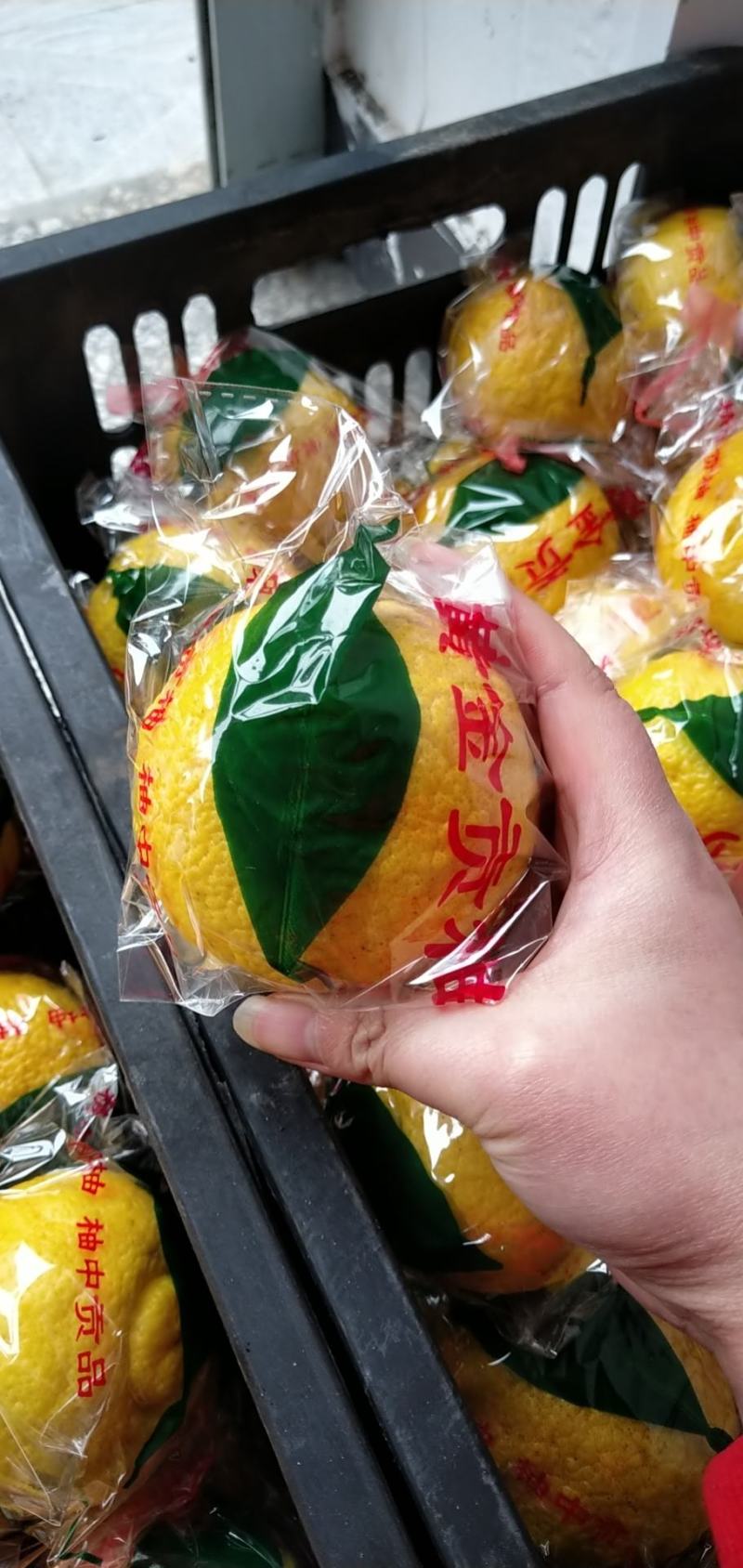 黄金贡柚
