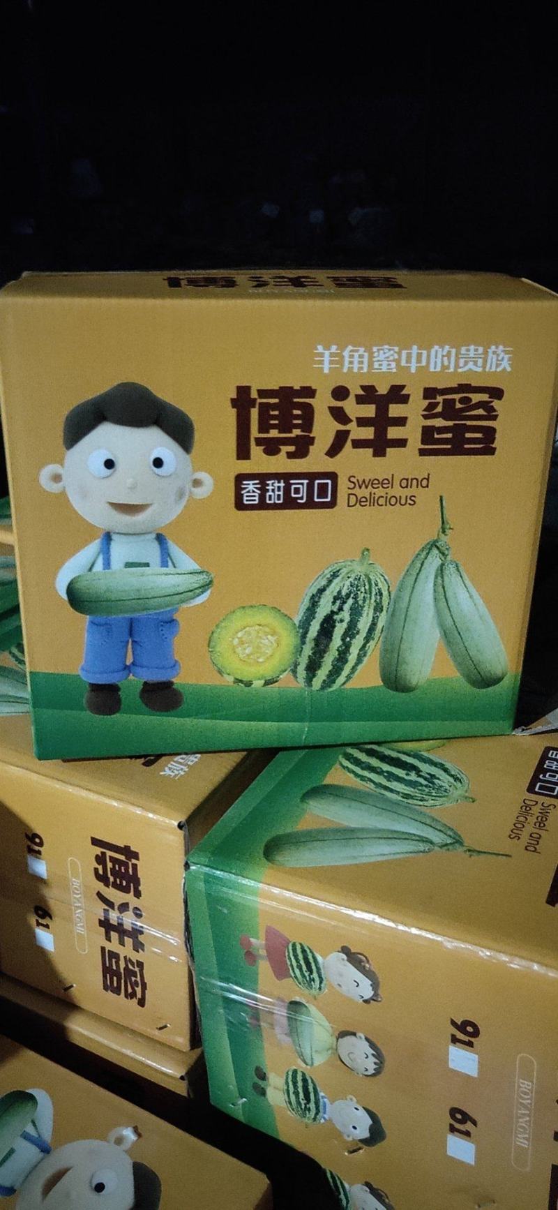 山东莘县博洋甜瓜大量上市，专业对接商超、电商，市场批发
