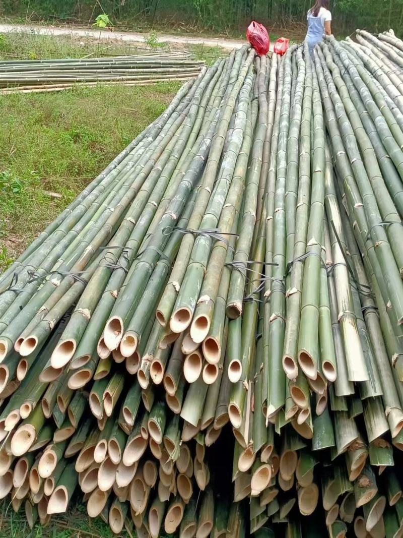 排山竹，外墙搭架建筑工程搭排山。品质优