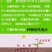 秦薯5号红薯苗15~25cm