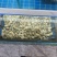 大量针对西藏自治区大型水产海鲜牛蛙甲鱼批发