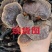 竹灵芝9月新货纯野生老挝进口朵朵整株一手货源
