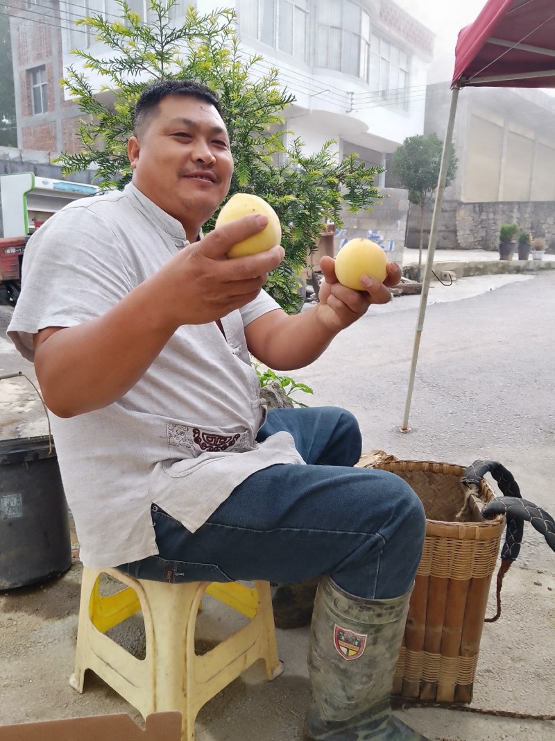 锦绣黄桃，每年六月至十月品种