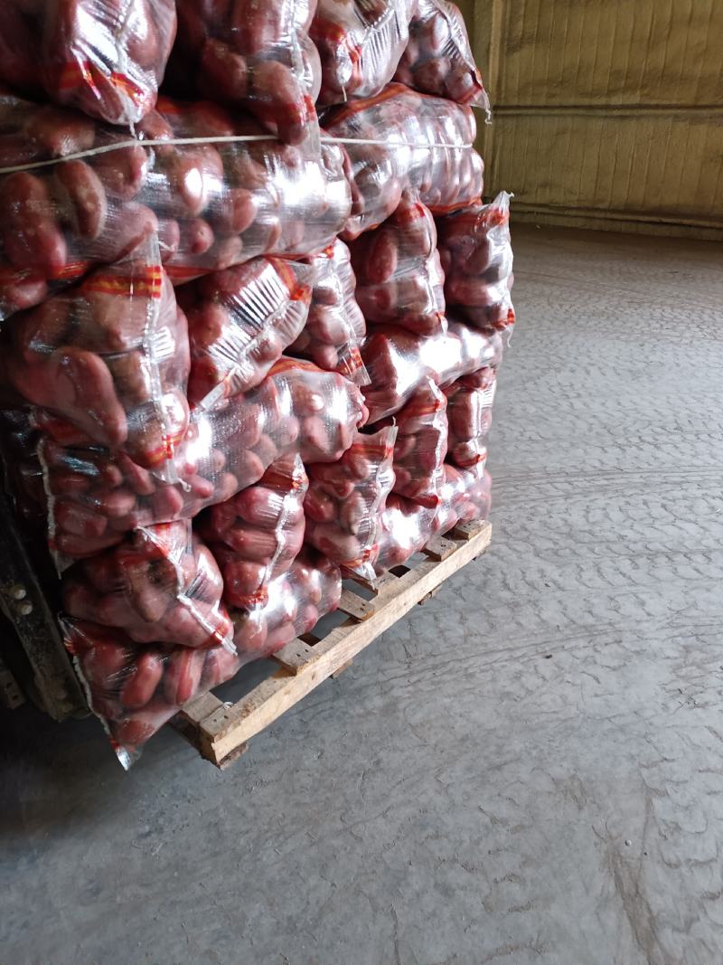 红皮黄心土豆品质保证产地直销欢迎选购