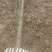 甘肃兰州山杏产地直供，一手货源，支持视频看货，欢迎采购