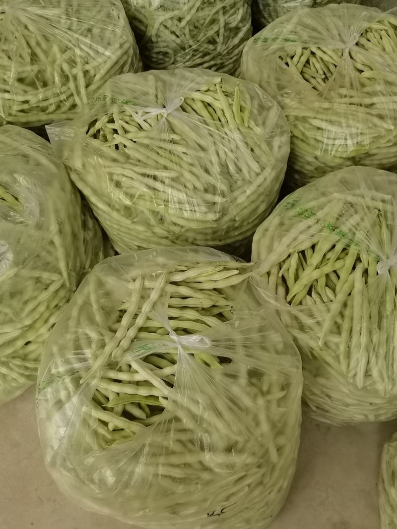 平度市崔家集镇芸豆大量上市中，有需要的老板请联系我