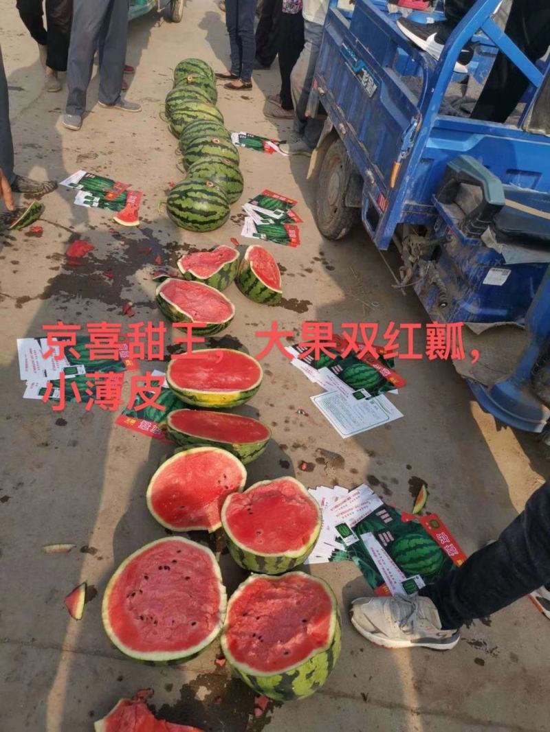 清苑甜王西瓜上市，质量与行情的把控，欢迎骚扰