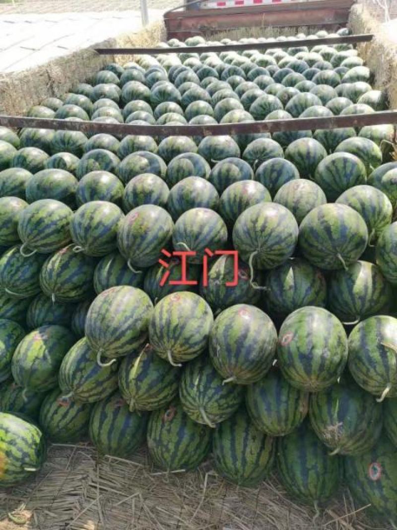 清苑甜王西瓜上市，质量与行情的把控，欢迎骚扰