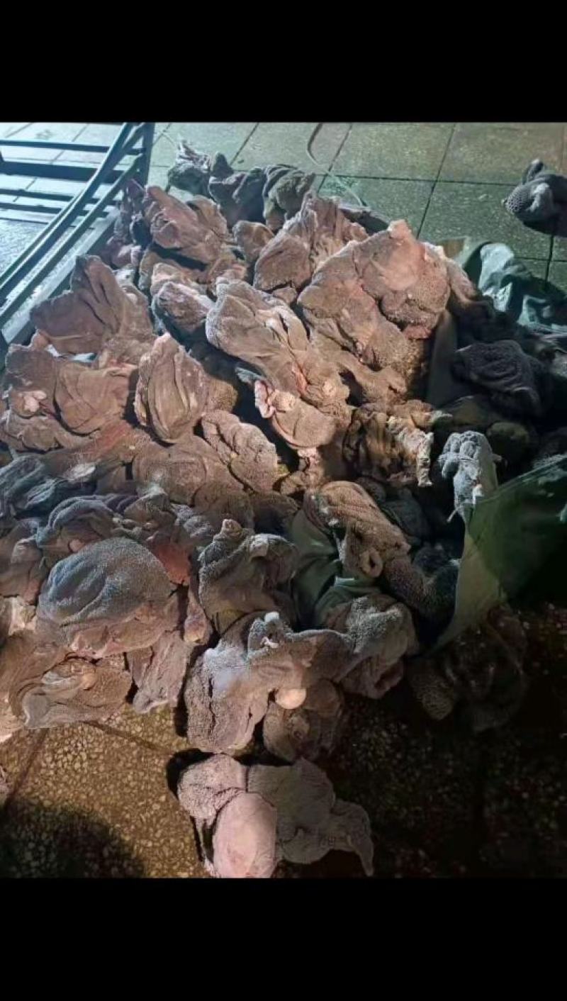 熟羊毛肚草原直供草地羊毛肚质量保障量大从优基地直发