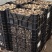 郁金香二代种球、花色达到50多种、很适合工程用苗价廉品相好