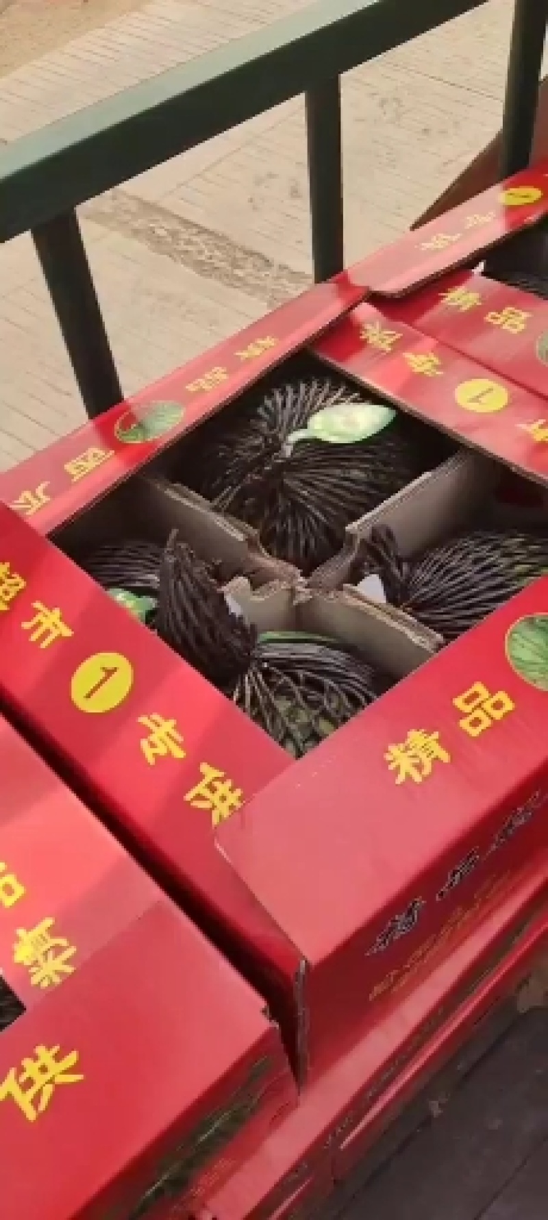 陆地甜王大量供货中:***********
