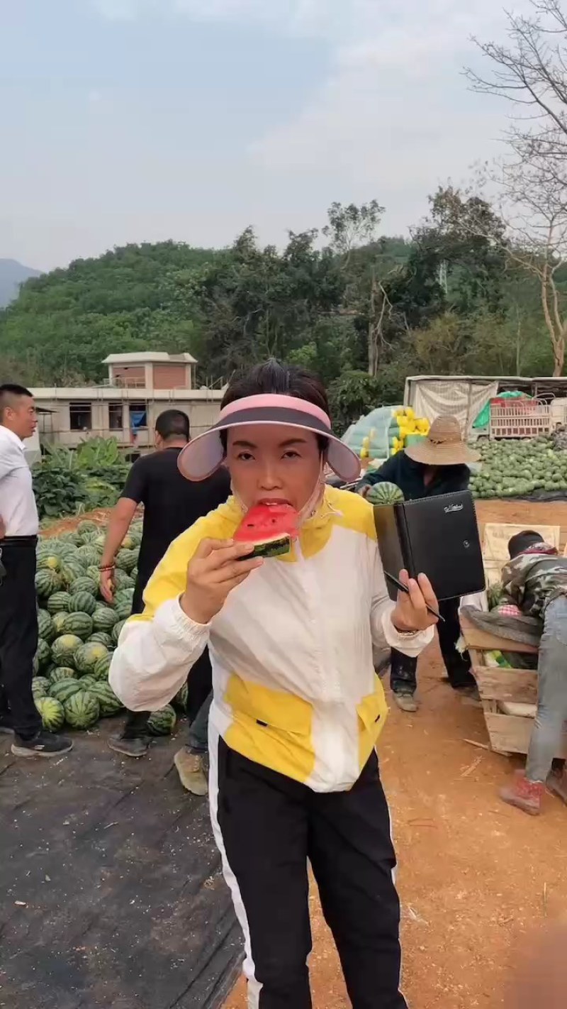 陆地甜王大量供货中:***********