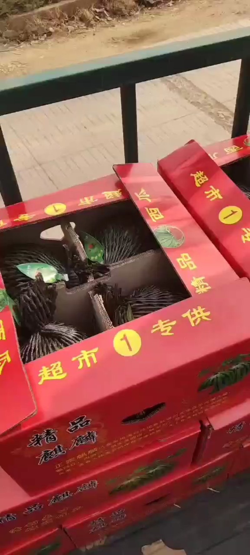 陆地甜王大量供货中:***********