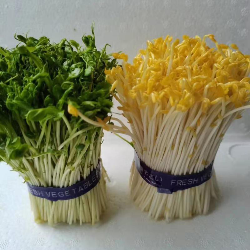 新鲜豌豆苗，量大从优