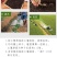 菊苣种子大叶菊苣种籽多年生四季牧草猪牛羊鸡鸭鹅鱼牧草种