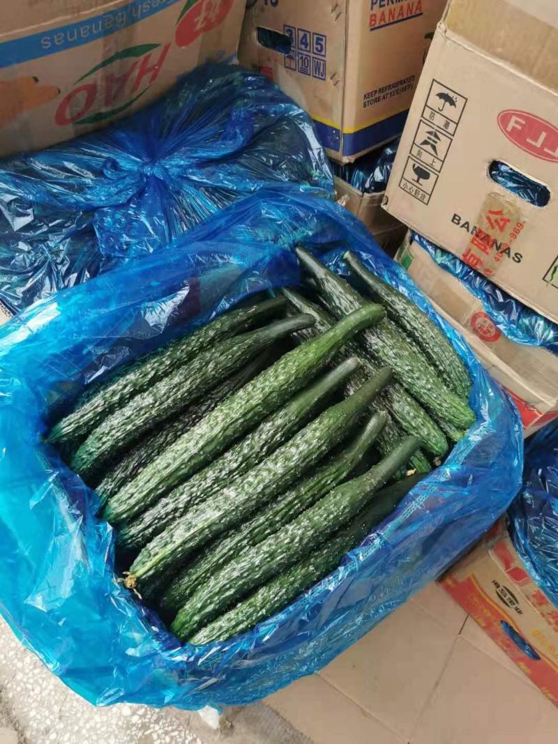 夏邑县黄瓜大量上市了，欢迎光临新老客户前来选购，优质服务