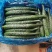 夏邑县黄瓜大量上市了，欢迎光临新老客户前来选购，优质服务