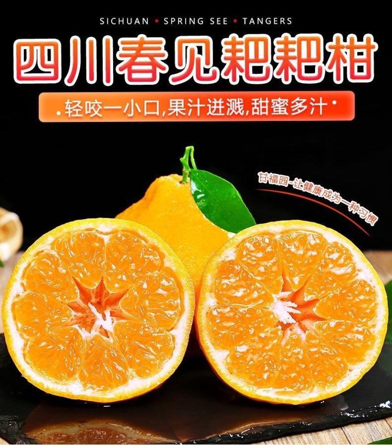 【包邮-20斤柑桔】批发10斤20斤四川丑橘不知火柑桔