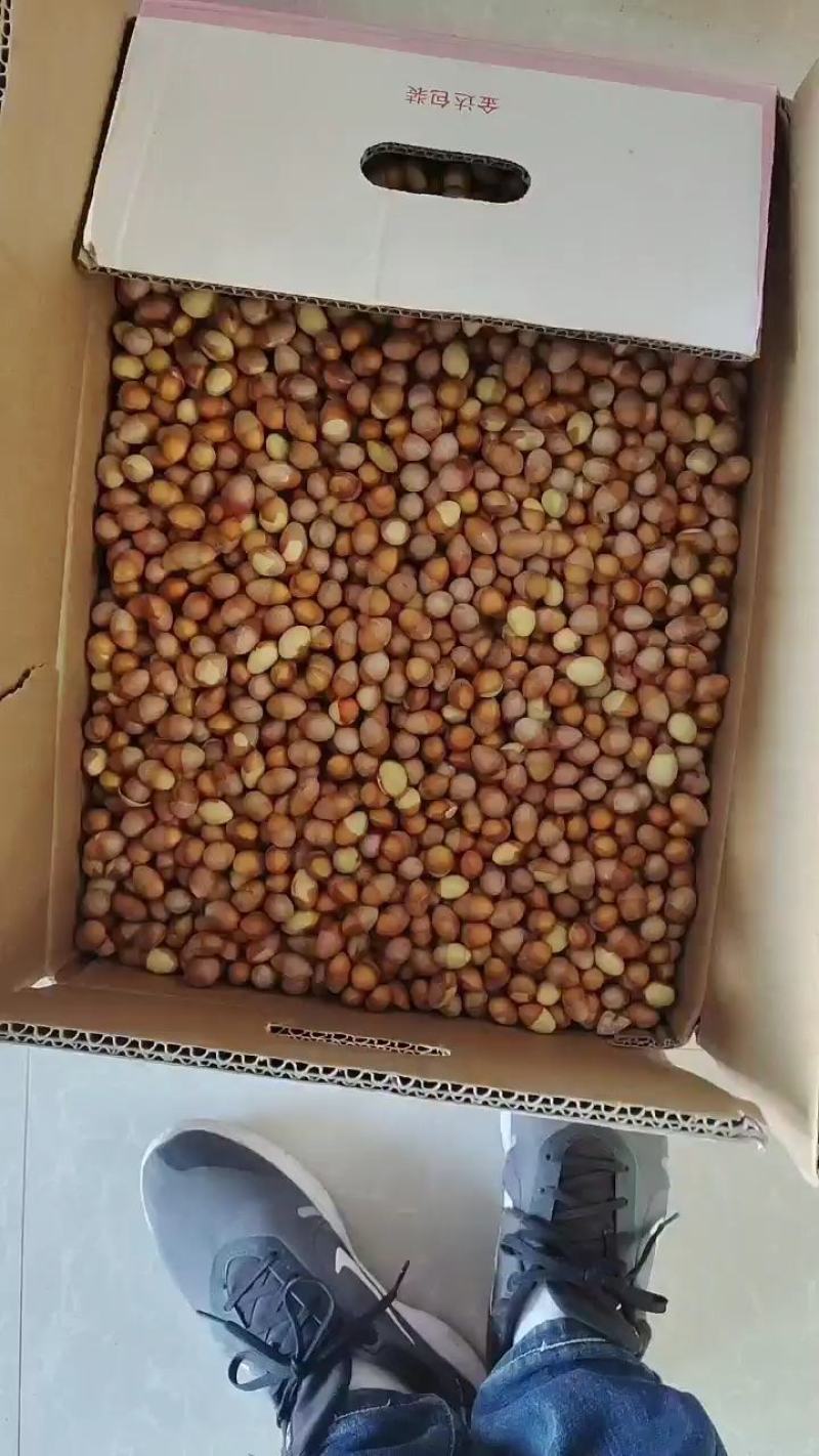 银杏果仁（去壳银杏果），食用白果仁，热销中