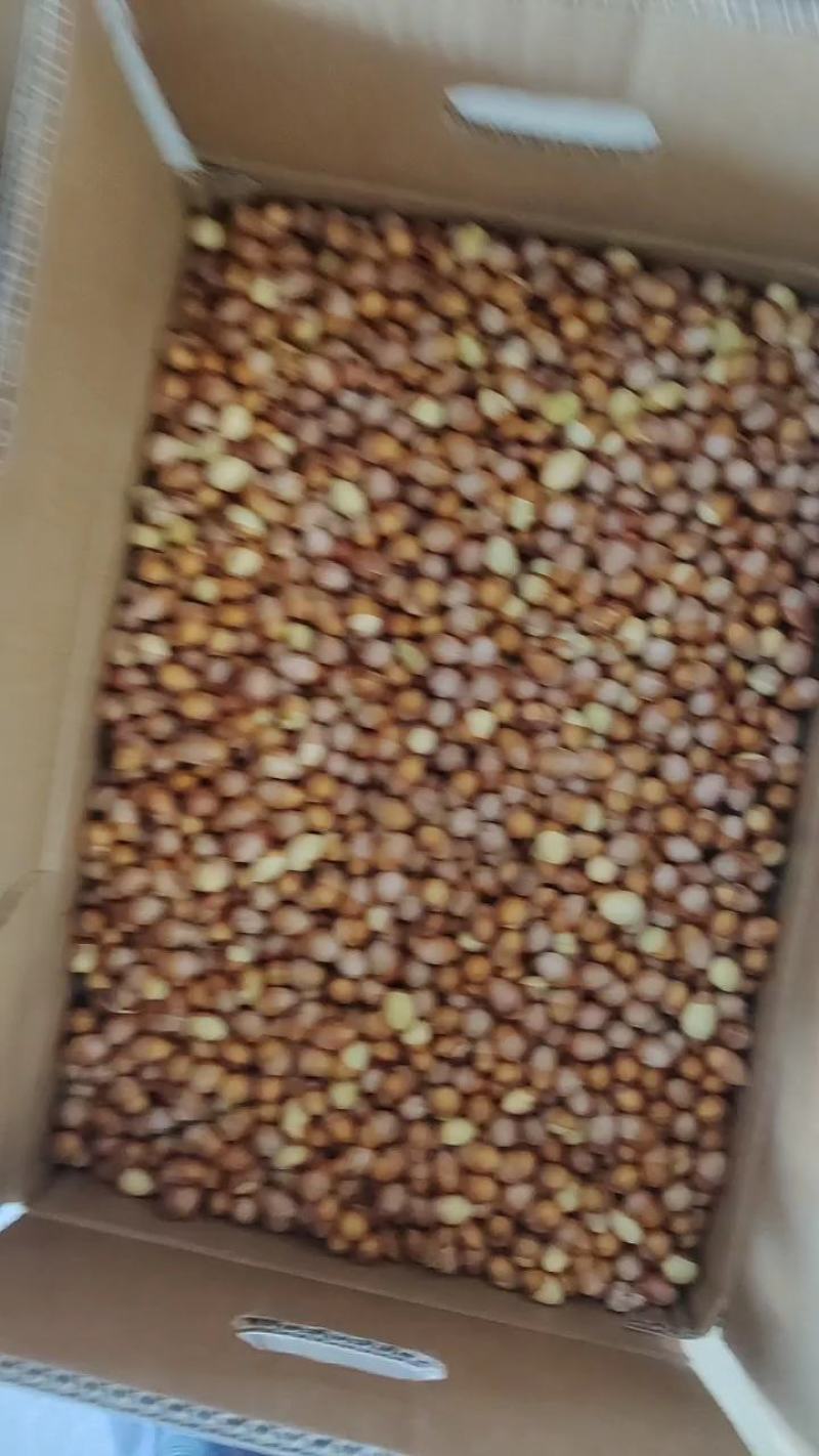 银杏果仁（去壳银杏果），食用白果仁，热销中