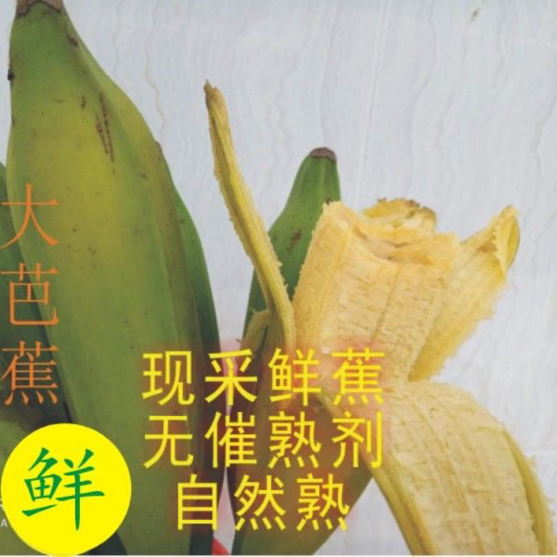 【包邮-18斤芭蕉】热销9斤18斤广西新鲜大牛蕉芭蕉