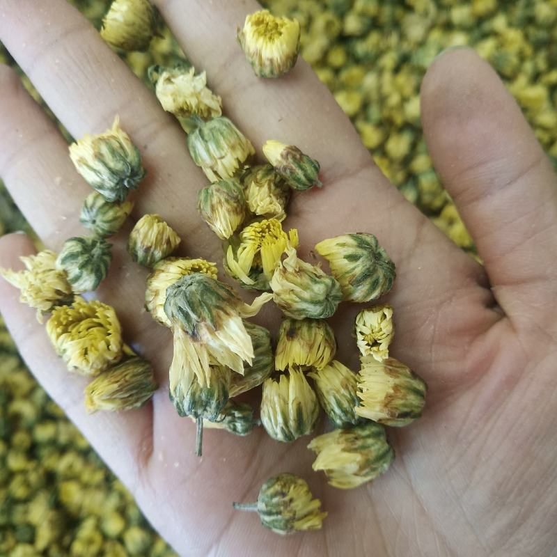 批发·胎菊菊花茶胎菊花贡菊花草茶菊花茶泡水500克