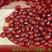 东北黑龙江红小豆批发红豆农家自产新红小豆赤小豆红豆包邮