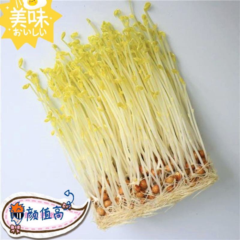 豌豆苗