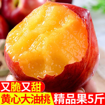 【-20斤油桃】热销10斤20斤黄心大油桃