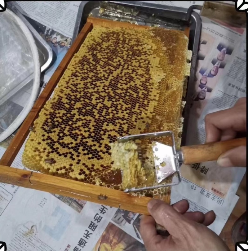 深山老蜂蜜，从业十余年，任何添加剂