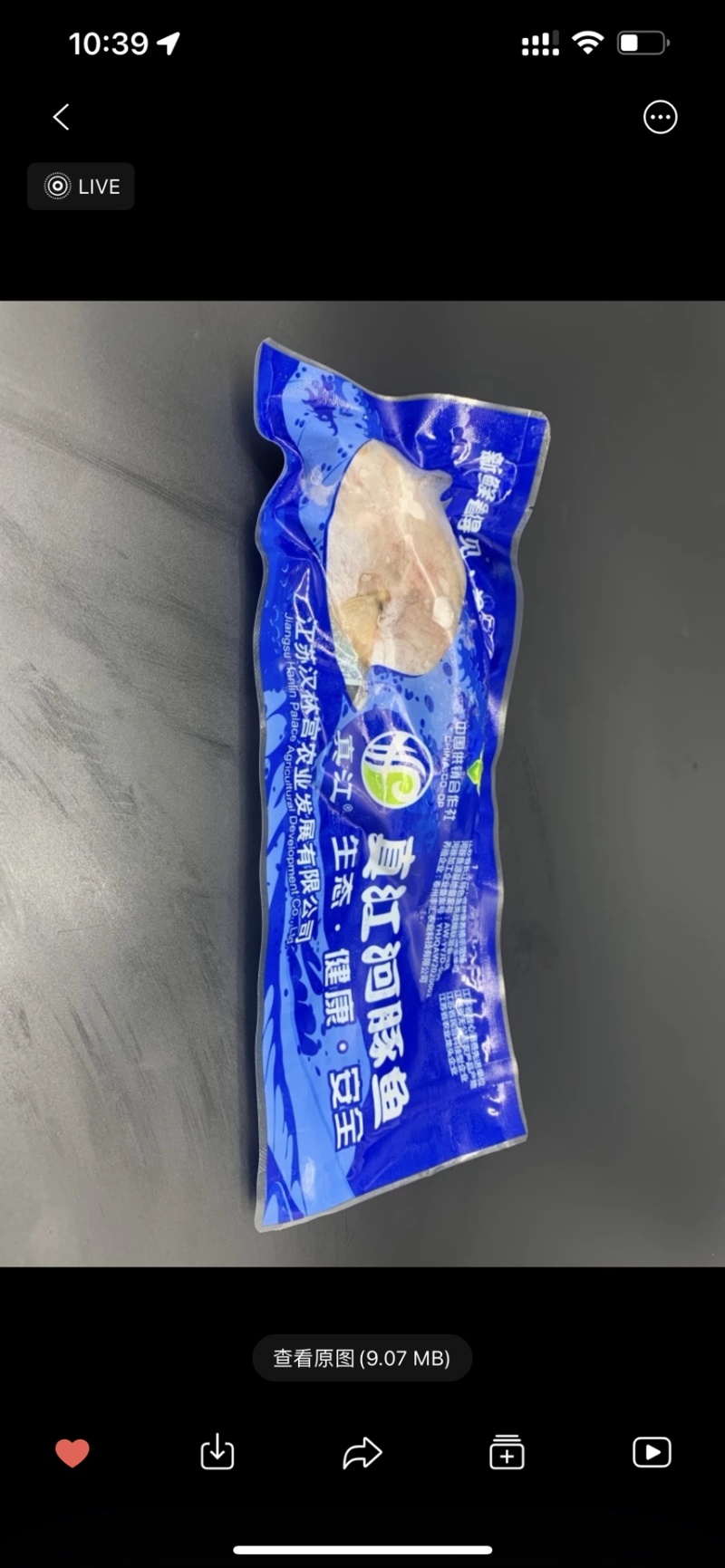 河豚东方暗纹豚，冰鲜商用家用河豚，有证件，央视采访企业