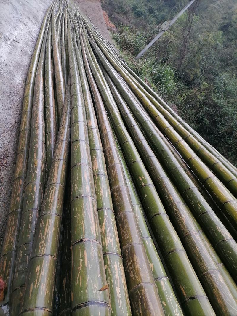 原产地供应3年以上毛竹果撑大棚等可自订…可来现场看货量大