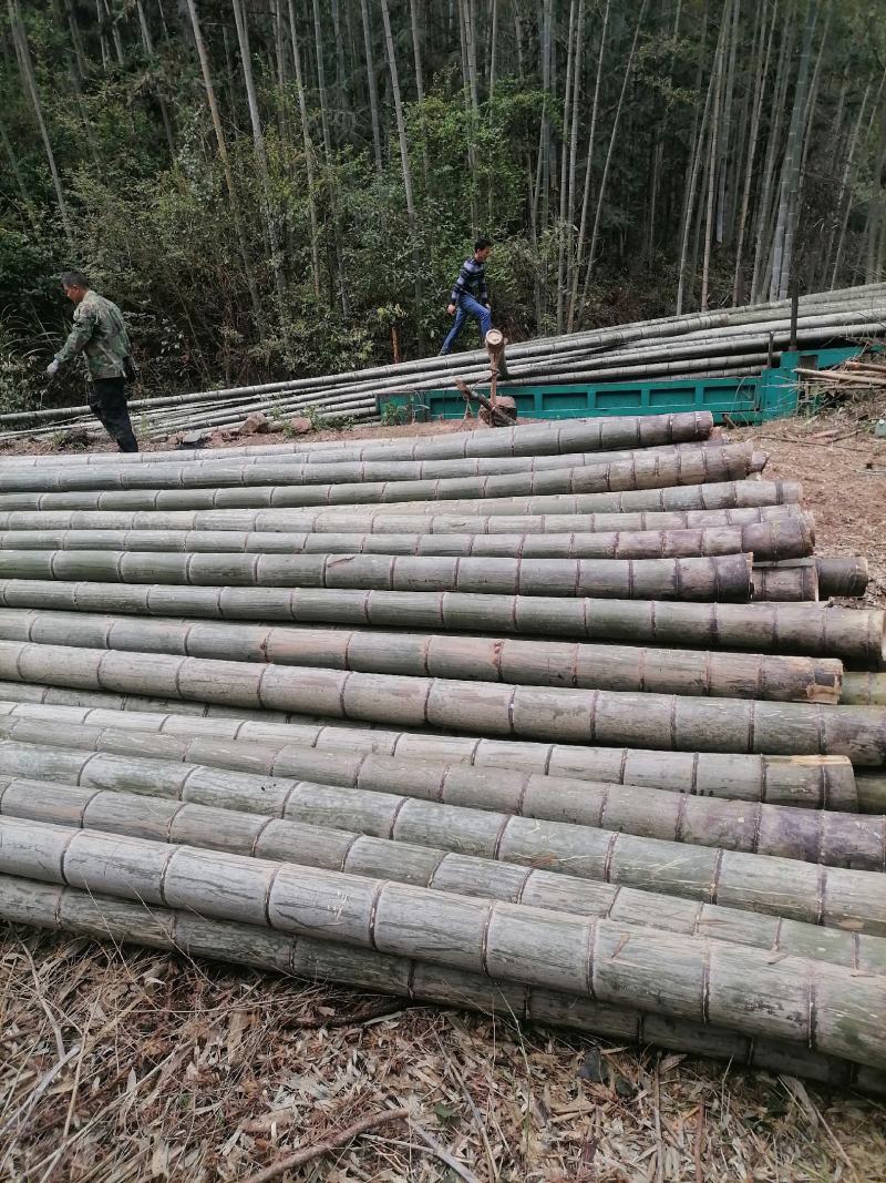 原产地供应3年以上毛竹果撑大棚等可自订…可来现场看货量大