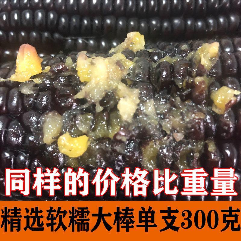 紫玉米新鲜甜糯第一名紫玉米血糯玉米棒黑珍珠甜糯10根即食