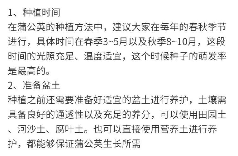 婆婆丁种子蒲公英种子新货药材食用种子四季播种发芽率高种籽